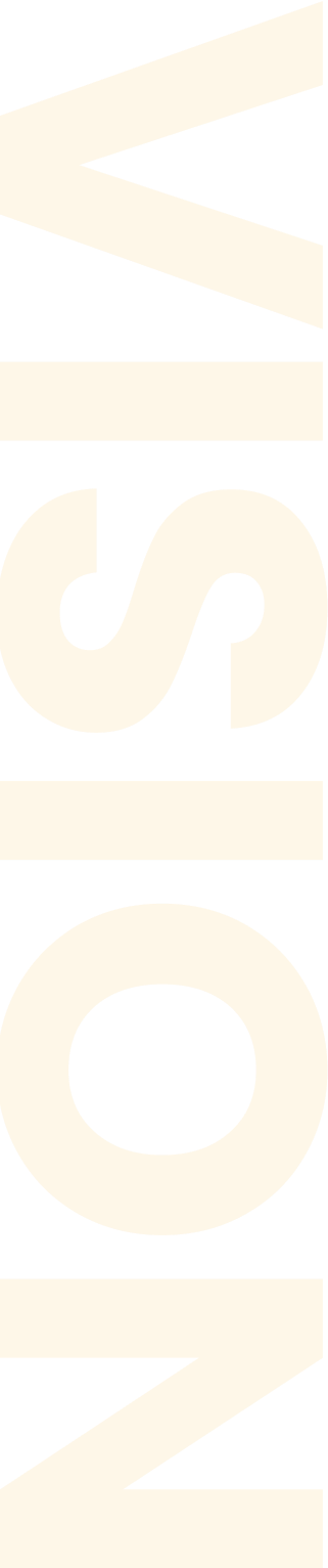 vision