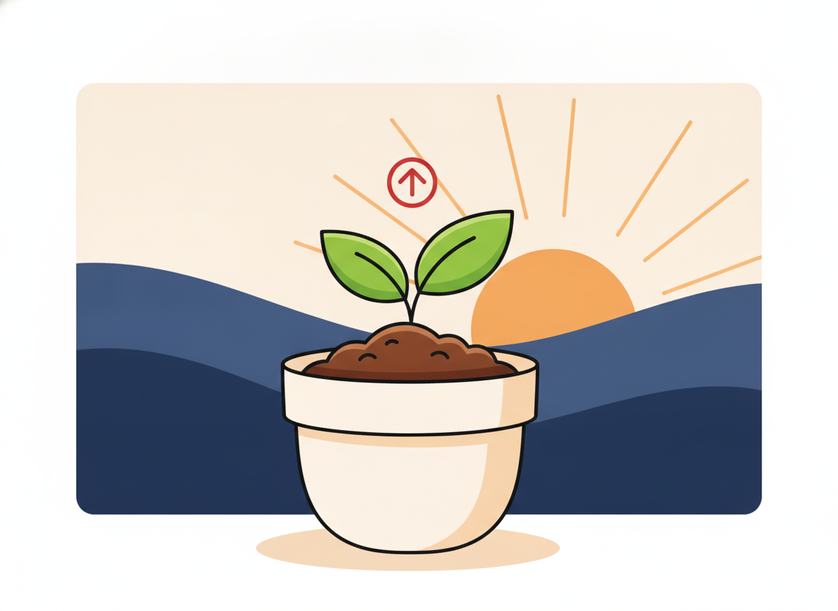 a small green plant sprouting from soil in warm morning light